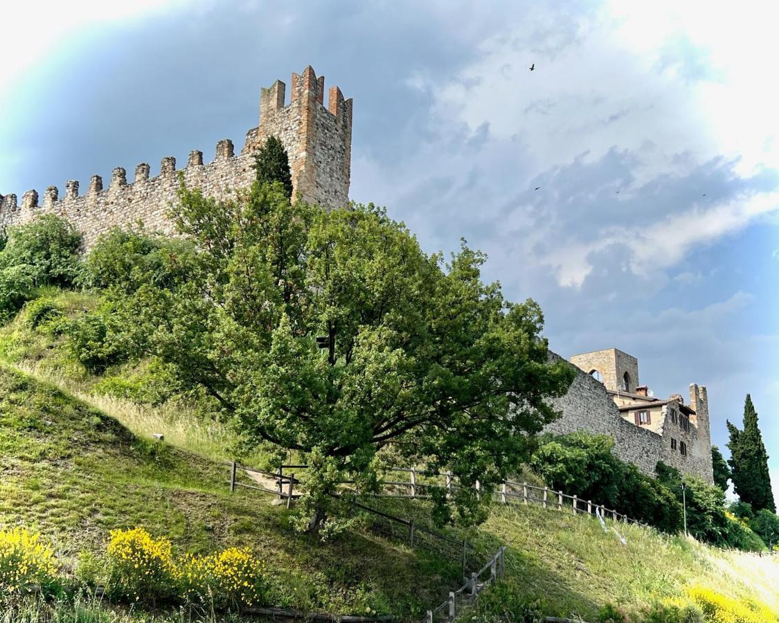 Appartamento Via Antica Padenghe sul Garda Ngoại thất bức ảnh